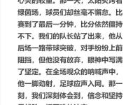 开云APP-欧洲足球盛事观后感，球迷热情高涨