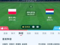 开云APP-荷兰击败奥克兰，斩获欧洲杯小组头名的简单介绍