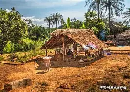 塞拉利昂篮球赛事异常激烈，强队竞逐争先