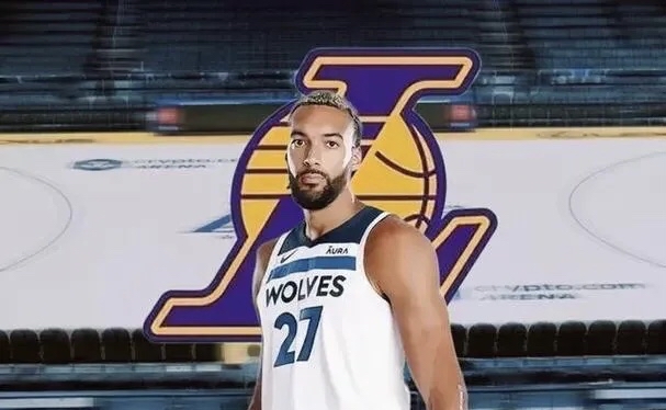 猛龙负湖人，戈贝尔大号双铁